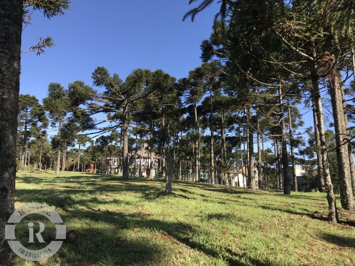 1 - Terreno Em Gramado em gramadoAspen Mountain