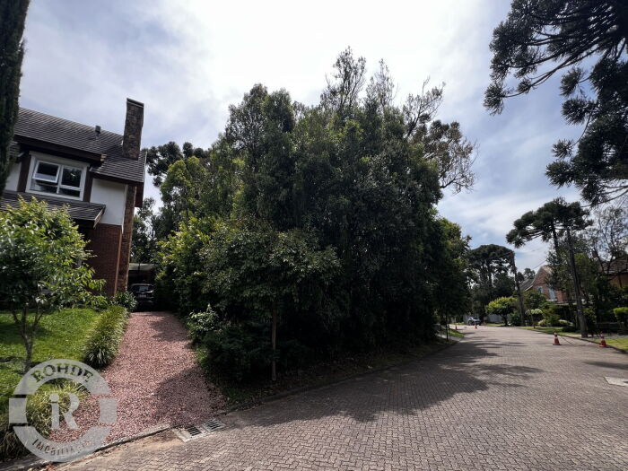 4 - Terreno Em Canela em canelaReserva da Serra