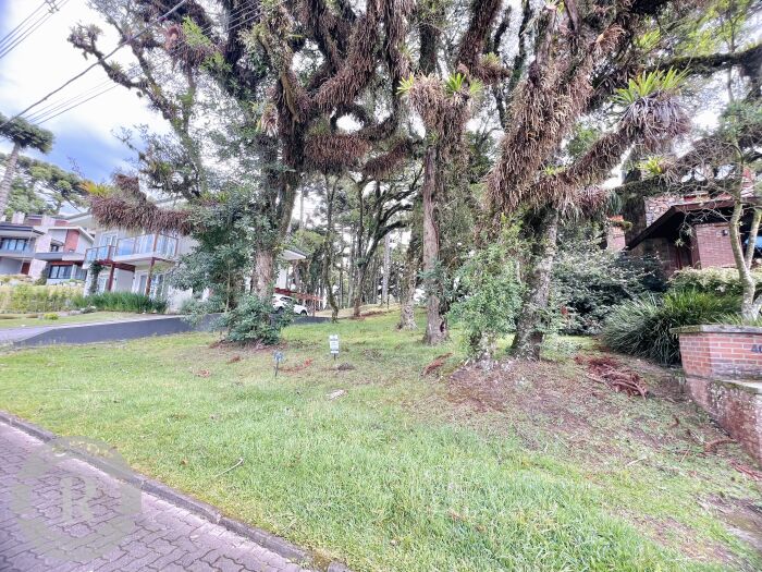 3 - Terreno Em Canela em canelaAltos Pinheiros