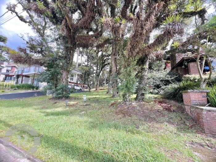 2 - Terreno Em Canela em canelaAltos Pinheiros