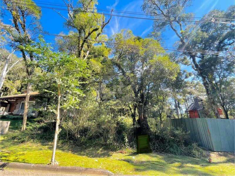 1 - Terreno Em Canela em canelaPinheiro Grosso
