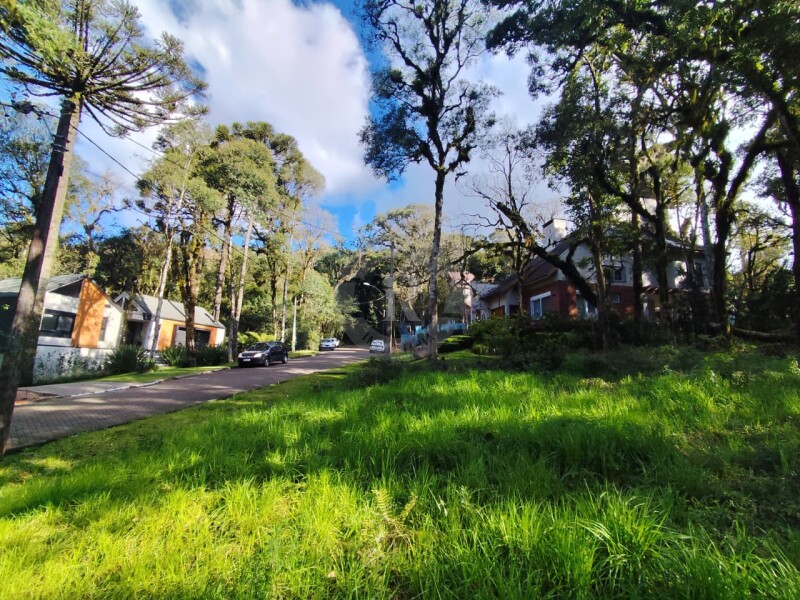 1 - Terreno Em Canela em canelaPinheiro Grosso
