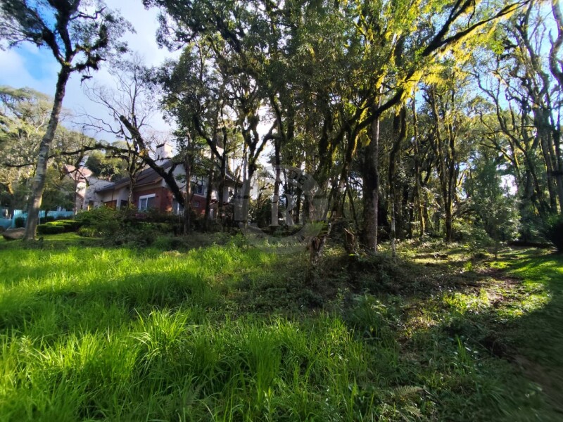 2 - Terreno Em Canela em canelaPinheiro Grosso