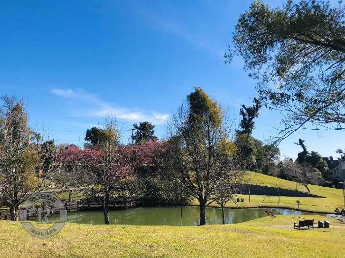 Foto 5 - Terreno Em Gramado em Gramado, bairro Saint Moritz