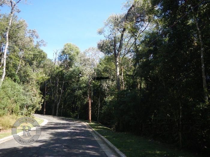 2 - Terreno Em Gramado em gramadoVILA NOVA DE GAIA