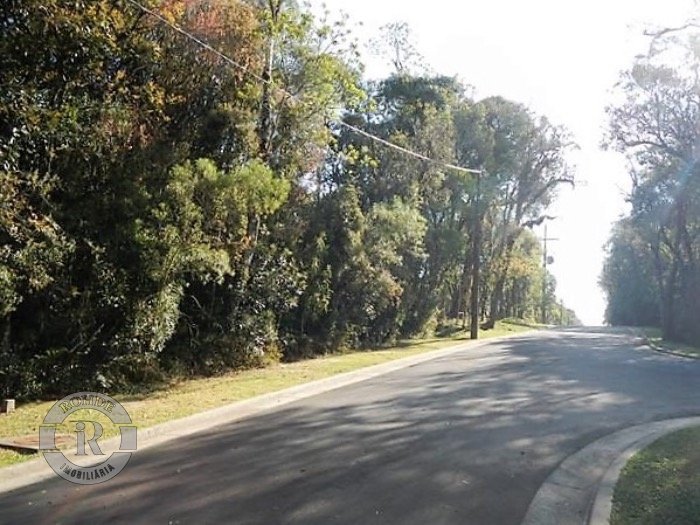 Foto 6 - Terreno Em Gramado em Gramado, bairro VILA NOVA DE GAIA
