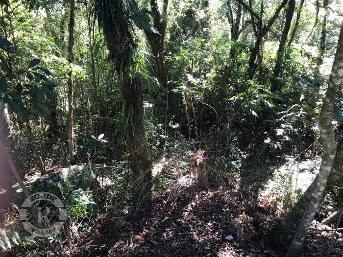 Foto 8 - Terreno Em Canela em Canela, bairro Reserva da Serra
