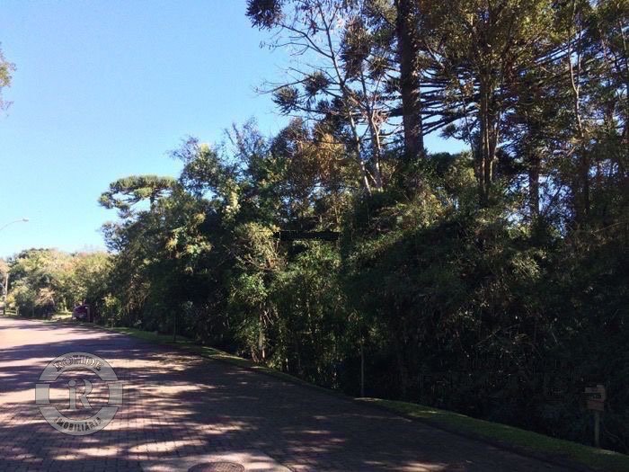 4 - Terreno Em Canela em canelaReserva da Serra