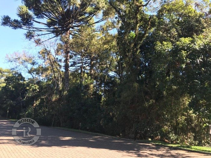 Foto 7 - Terreno Em Canela em Canela, bairro Reserva da Serra