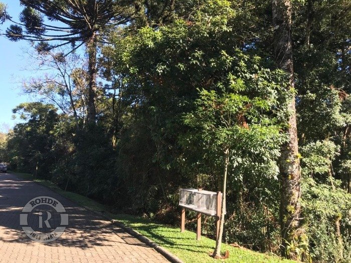 3 - Terreno Em Canela em canelaReserva da Serra