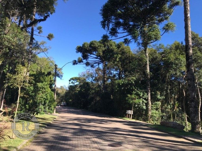 2 - Terreno Em Canela em canelaReserva da Serra