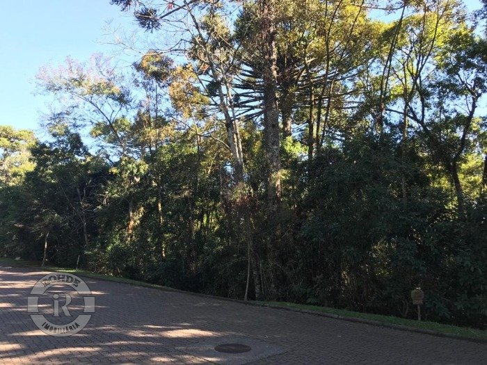 Foto 5 - Terreno Em Canela em Canela, bairro Reserva da Serra