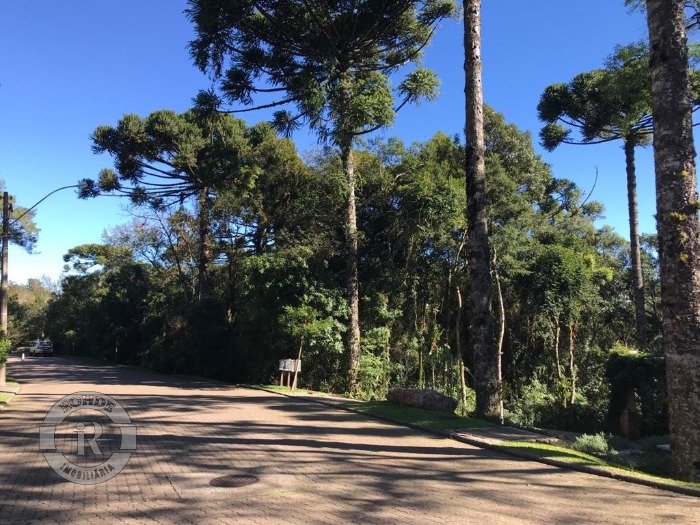 1 - Terreno Em Canela em canelaReserva da Serra