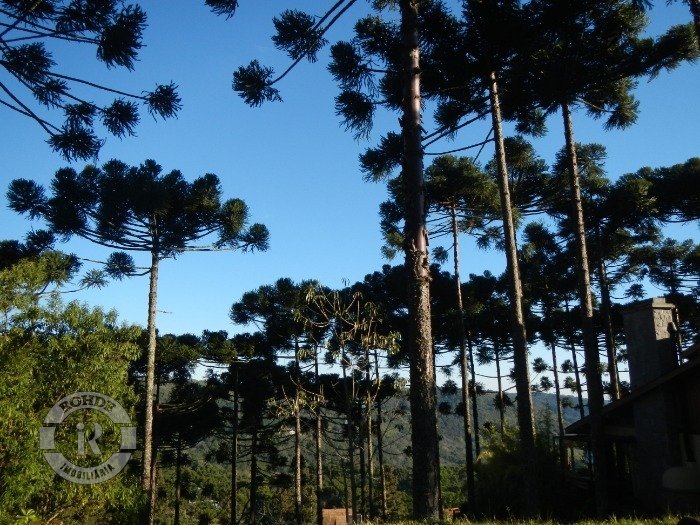Foto 6 - Terreno Em Gramado em Gramado, bairro Aspen Mountain