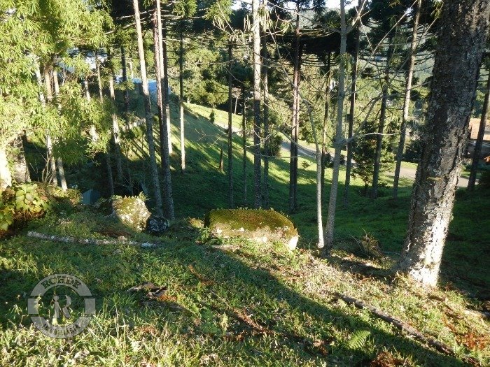 3 - Terreno Em Gramado em gramadoAspen Mountain