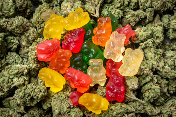 The Role of Terpenes and Cannabinoids in Enhancing the Effects of CBD