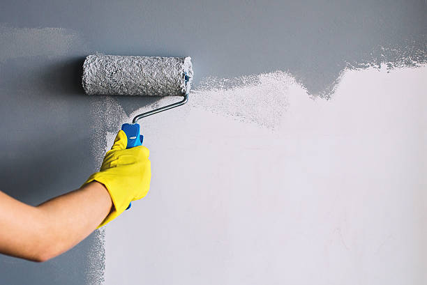 What is the best way to find reputable local painters in Overland Park?