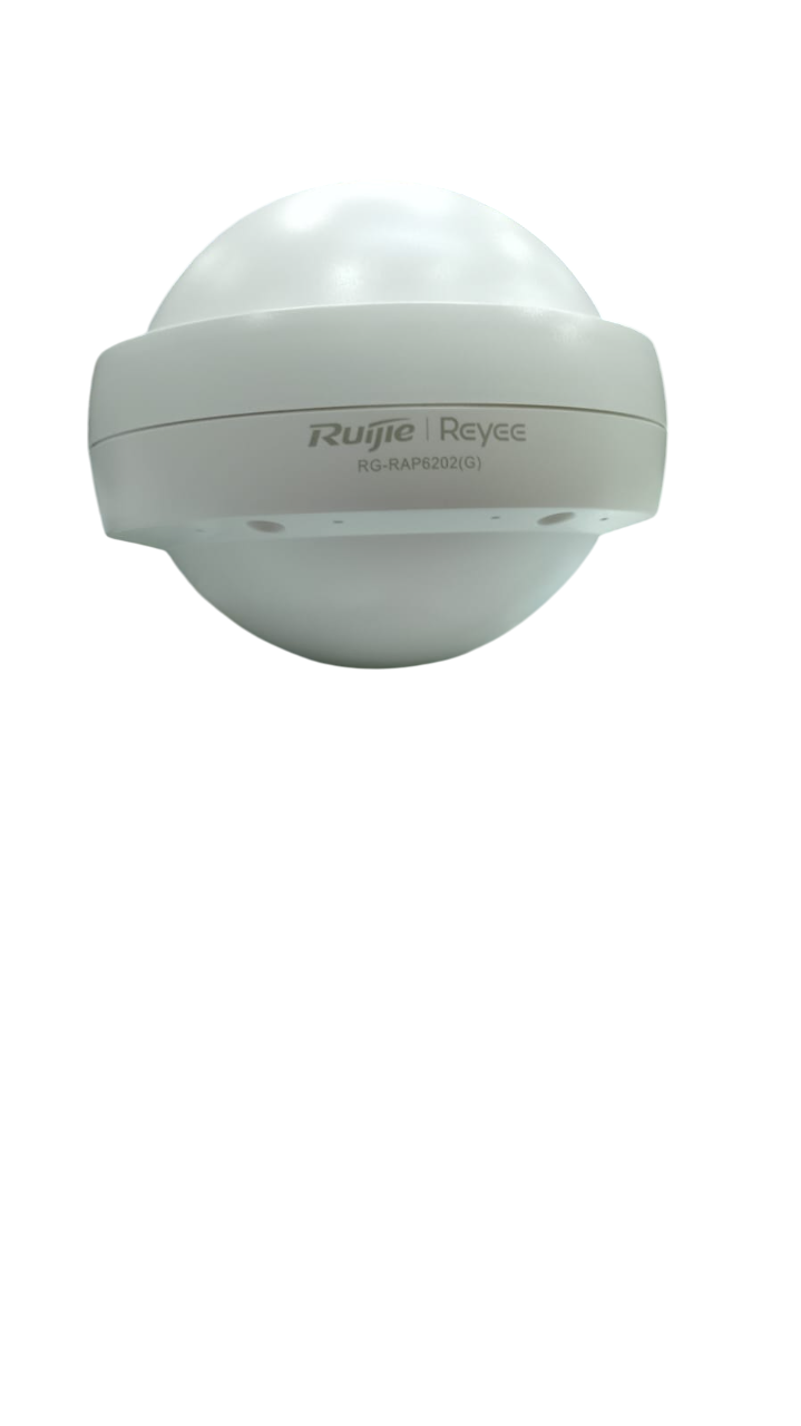 RG-RAP6262