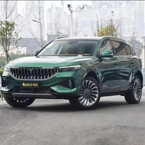 2024 Fashion Design Energy Cars Voyah Free Pure Electric Car 510 Kw Midsize SUV Car