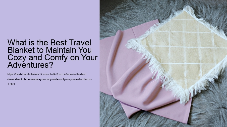 What is the Best Travel Blanket to Maintain You Cozy and Comfy on Your Adventures?