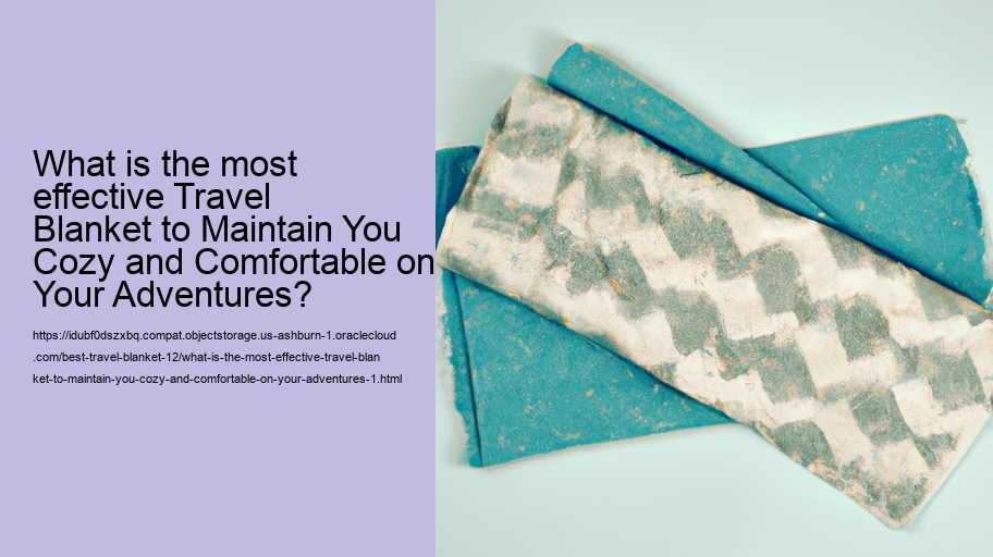 What is the most effective Travel Blanket to Maintain You Cozy and Comfortable on Your Adventures?