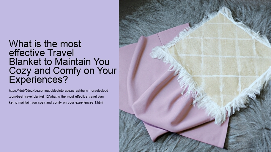 What is the most effective Travel Blanket to Maintain You Cozy and Comfy on Your Experiences?