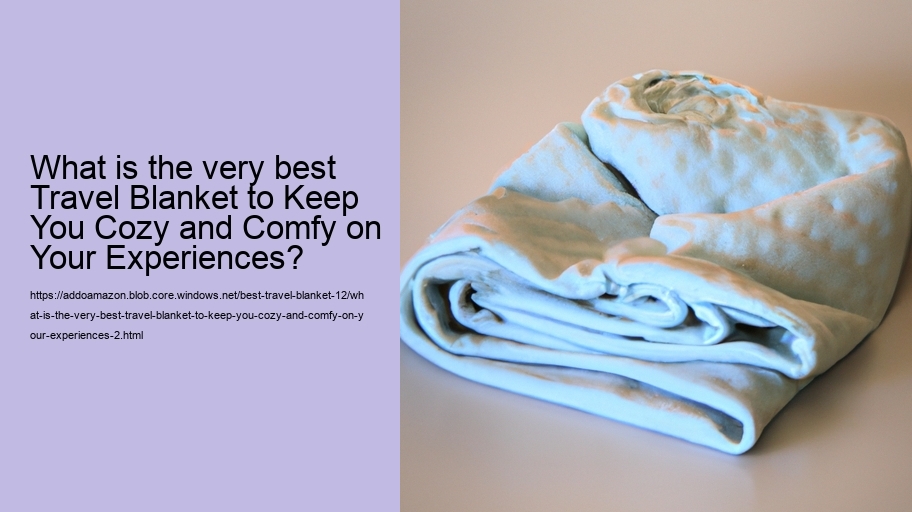 What is the very best Travel Blanket to Keep You Cozy and Comfy on Your Experiences?
