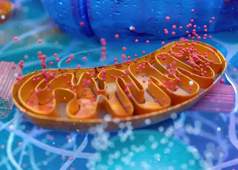 Mecanismo de acción del Azul de Metileno