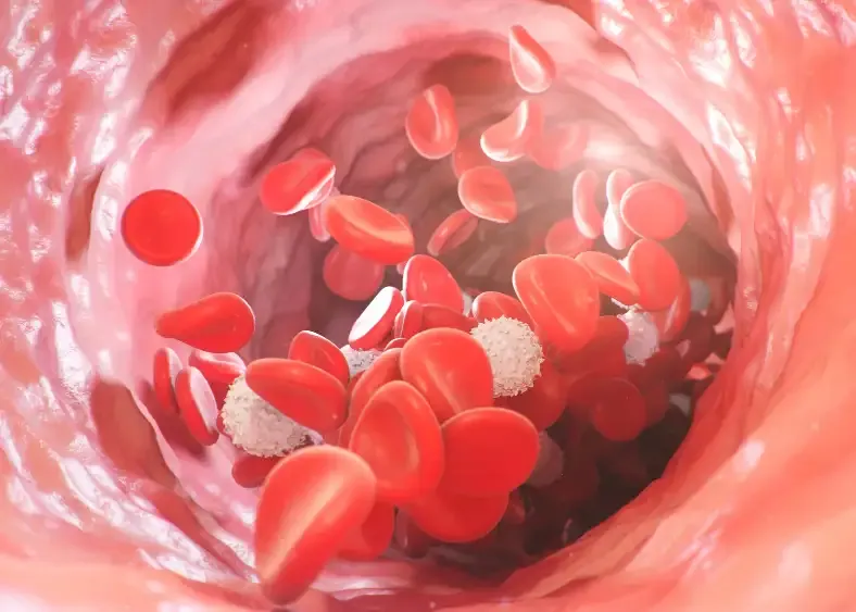 Mecanismo de acción del Hierro IV