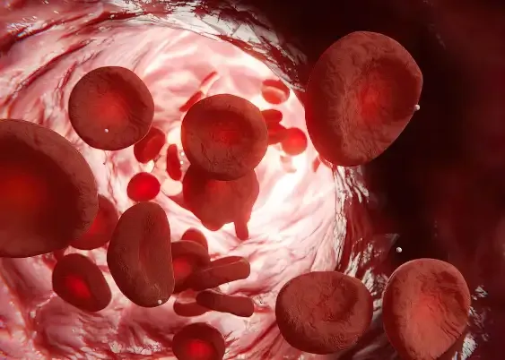 Procedimiento de Ozonoterapia Extracorpórea EBOO