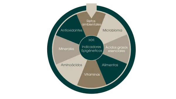 Marcadores epigenéticos
