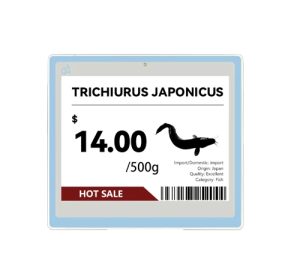 4.2 inch Electronic Shelf Label 2.4 GHz