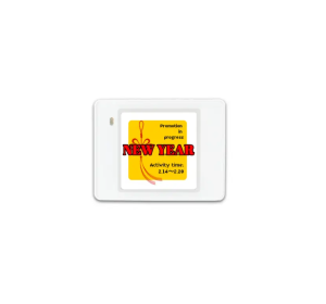 2.13 inch Waterproof ESL E-Paper Shelf Label IP65/IP67