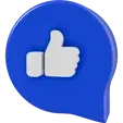 Icon primary