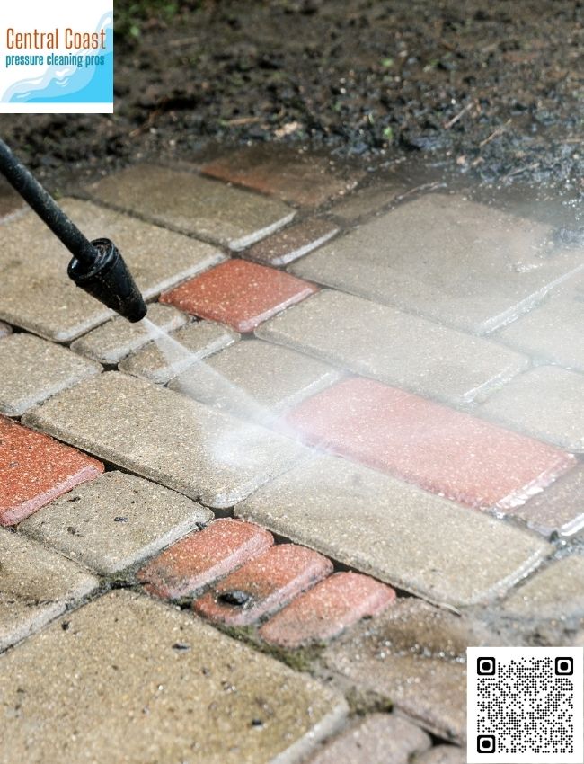 Where can I find roof cleaning specialists in Woy Woy?