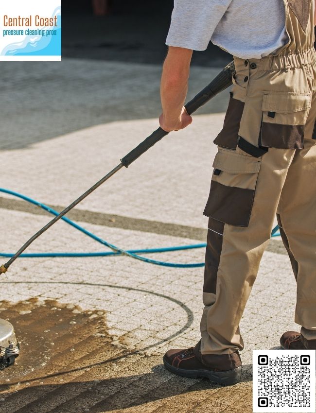 Soft Washing Techniques in Terrigal
