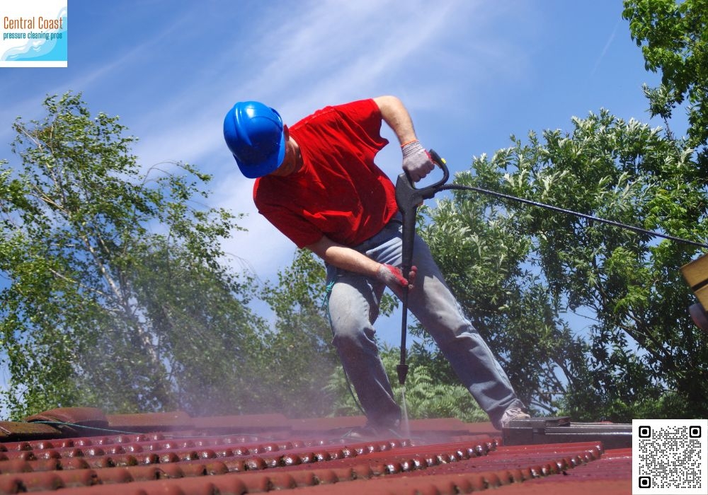 Searching for Top-to-Bottom House Washing in Terrigal?