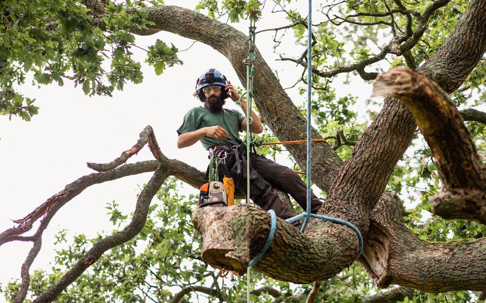 Are your arborists fully trained, qualified, and insured Frankston Tree Removal Experts Are your arborists fully trained, qualified, and insured