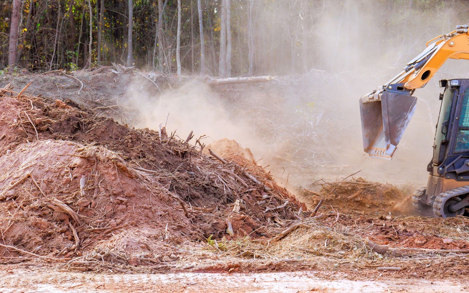 Can old tree stumps cause damage to underground pipes or services Frankston Tree Removal Experts Can old tree stumps cause damage to underground pipes or services