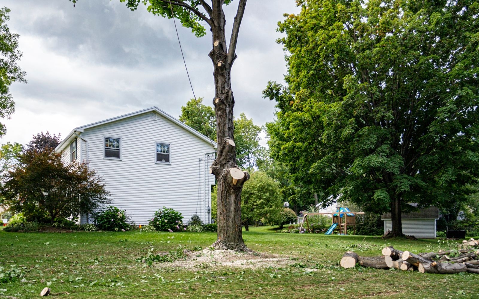 Does removing a stump improve the look of a lawn or garden Frankston Tree Removal Experts Does removing a stump improve the look of a lawn or garden
