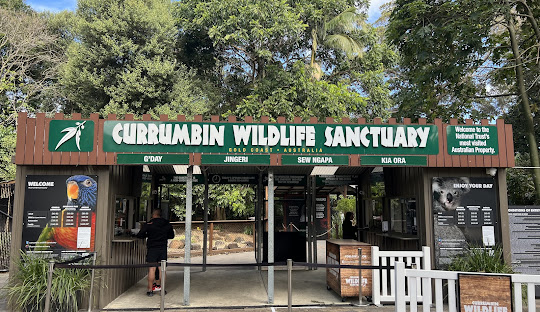 Gold Coast Geography: From Coastal Beaches to Hinterland Rainforests