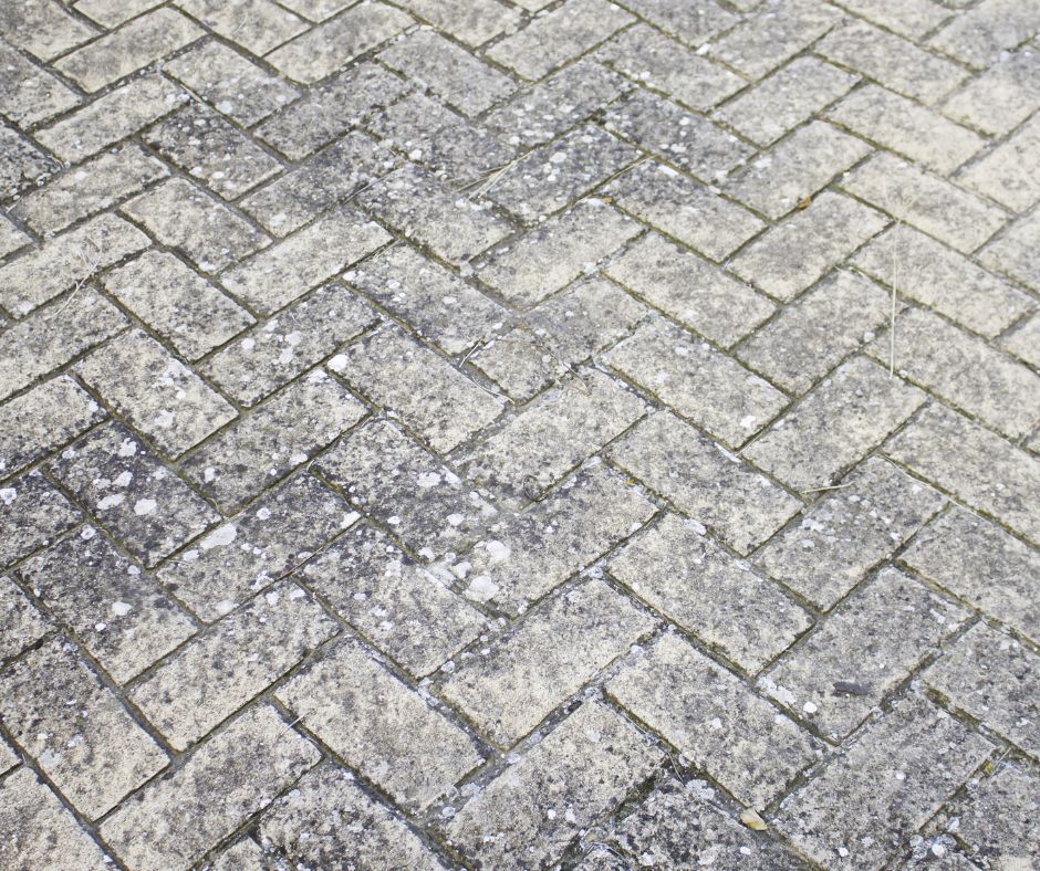 Effective Stain Removal Techniques for Driveways