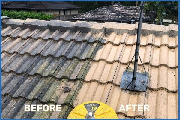 What areas do Sutherland Shire Pressure Cleaning Pros cover?