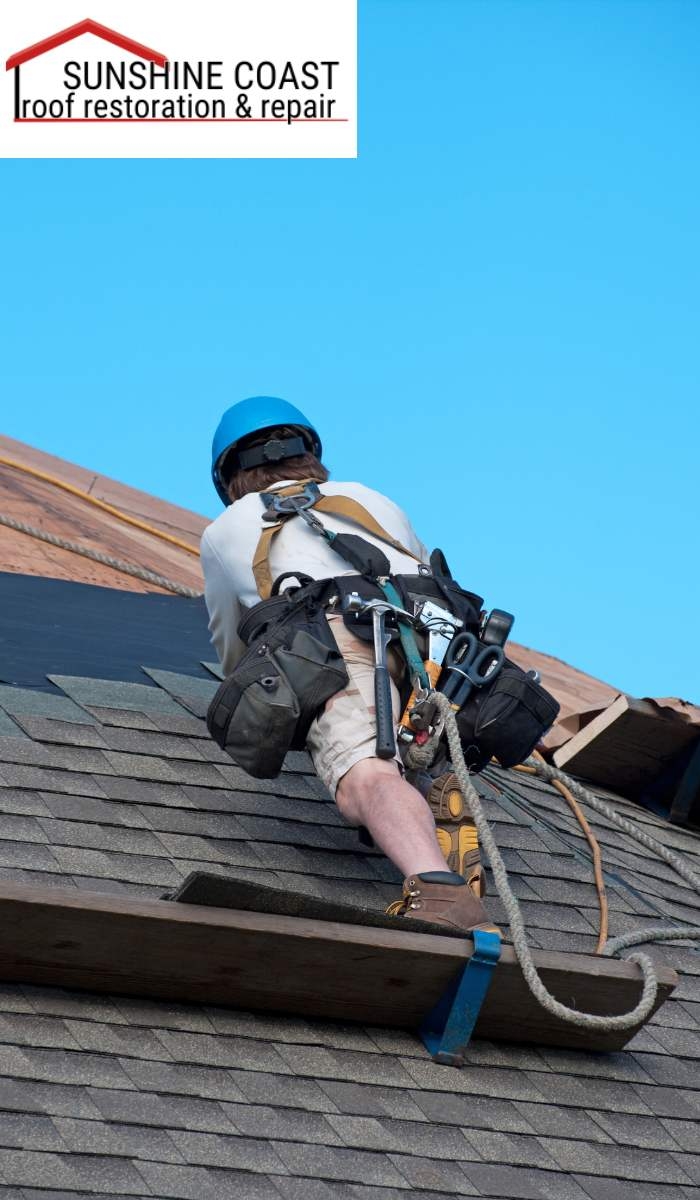 The Benefits of Mold and Algae Removal for Your Roof