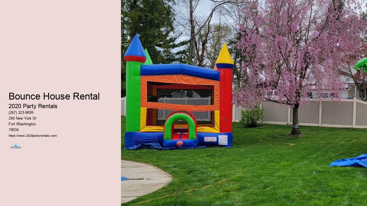 Party Supply Rentals