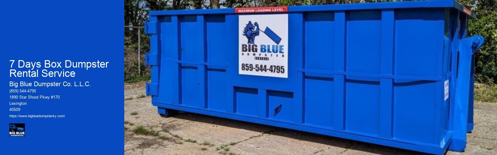 7 Days Box Dumpster Rental Service