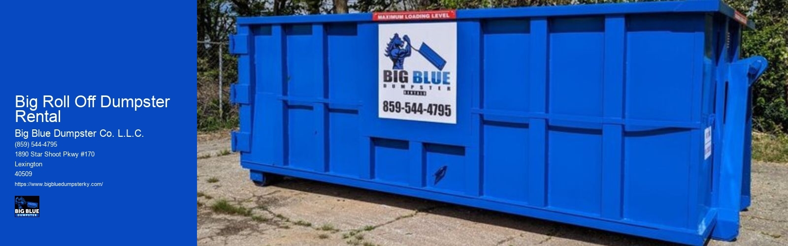 Big Roll Off Dumpster Rental