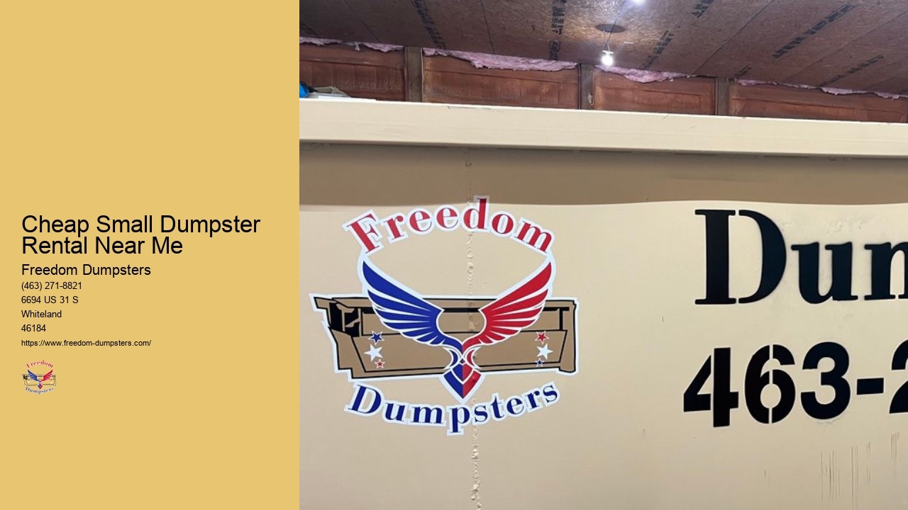 Small Dumpster Rental For A Day