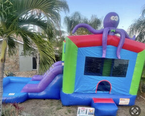 Inflatable Bounce Houses