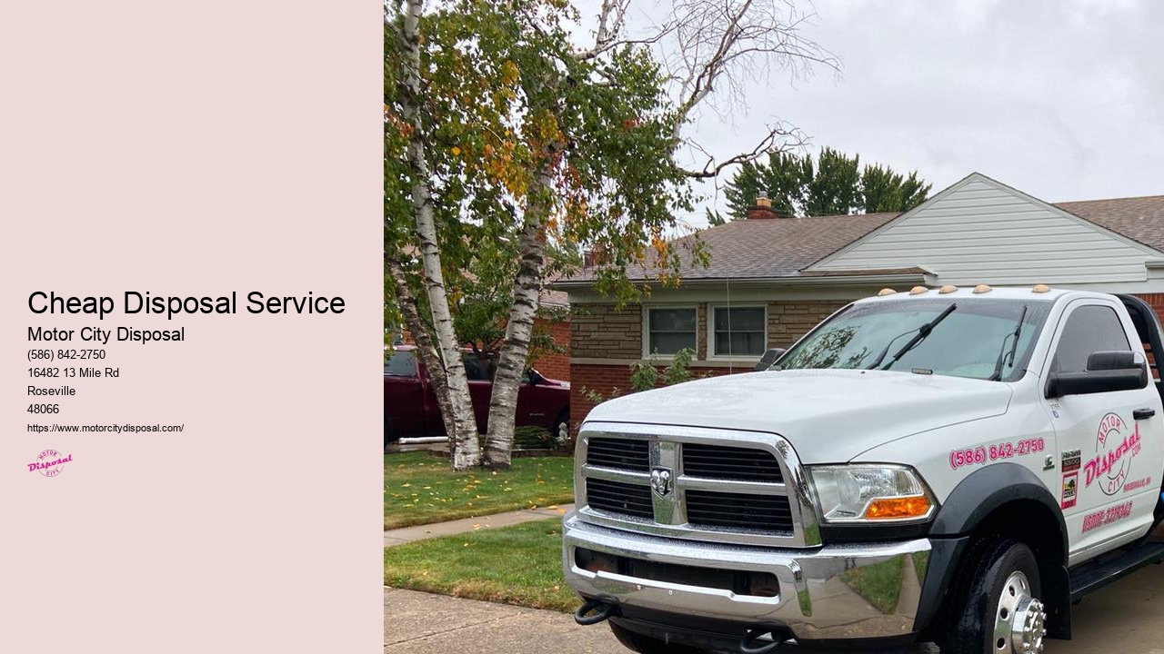 Cheap Disposal Service